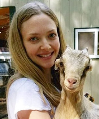 15 Pictures of Celebrities Cuddling Farm Animals on Instagram