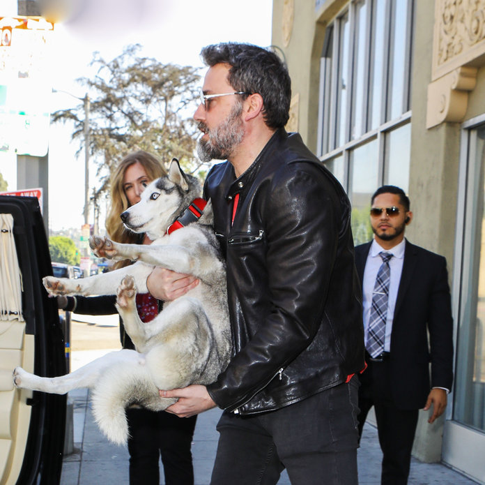 Ben Affleck Totes Around His Newly Adopted Husky